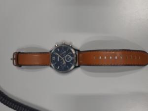 CS1197/ 2025 FOSSIL WATCH